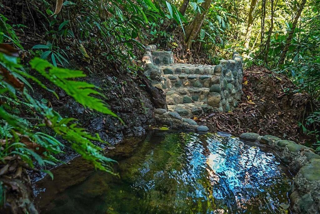 Puerto Jiménez Casa Aire Libreヴィラ エクステリア 写真