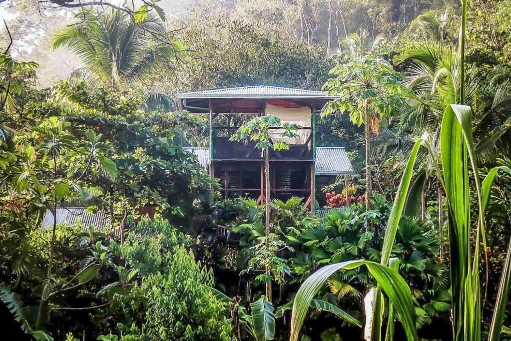 Puerto Jiménez Casa Aire Libreヴィラ エクステリア 写真