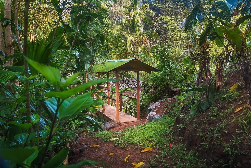 Puerto Jiménez Casa Aire Libreヴィラ エクステリア 写真