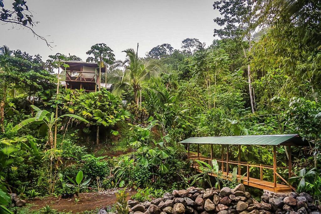 Puerto Jiménez Casa Aire Libreヴィラ エクステリア 写真